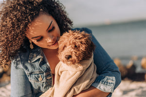 Beyond Dog Food Delivery: How Dogs Boost Our Health