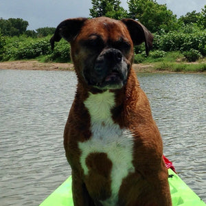 Note from the Founder