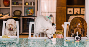 The best ingredients for your best friend.