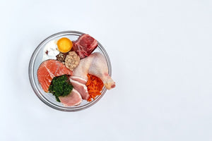 The Benefits of Organic Dog Food for Your Pup