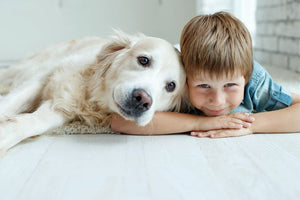 Why Human-Grade Dog Food Is Better for Your Dog & Puppy