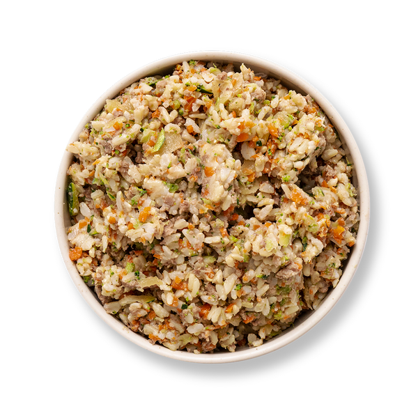 Starter Meal Plan