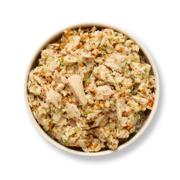 Starter Meal Plan