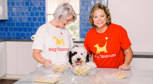 WAG TANTRUM ORGANIC DOG FOOD TURNS ONE! THANK YOU FOR A YEAR FULL OF TAIL-WAGGIN’, CLEAN BOWLS AND HAPPY PUPS