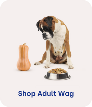 Organic fresh top dog food delivery
