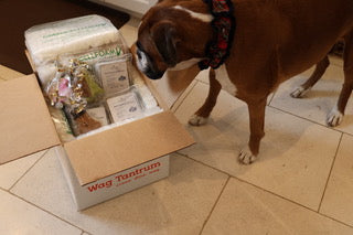 Christmas Gift Bundle