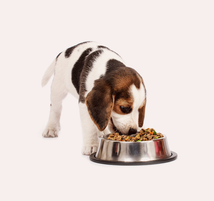 Organic Pet Food - Fresh Dog Food Delivered Fresh to Your Door – Wag ...