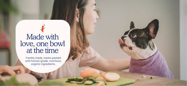 Organic fresh top dog food delivery