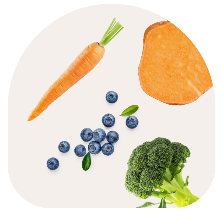 Wellness Puppy Food Puppy Wag Combo 56 once by Wag Tantrum