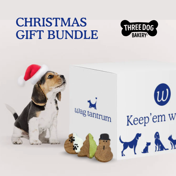 Christmas Gift Bundle