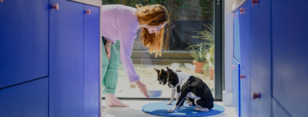 Organic dog food hot sale delivery
