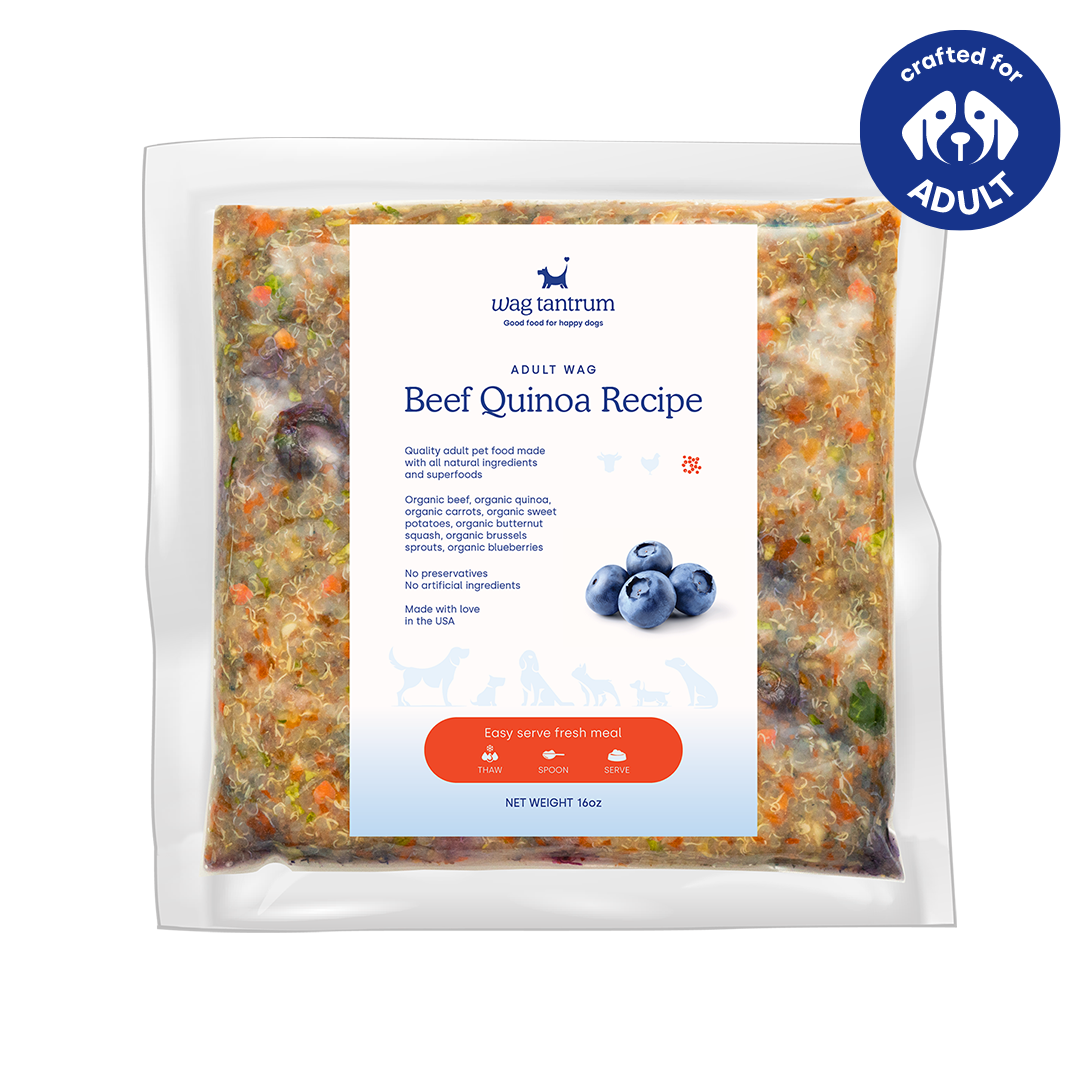 Fresh dog food deals